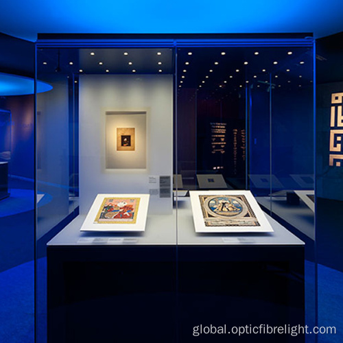 Cabinet Display Lighting Fiber optic display lighting for Museum Supplier